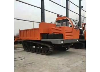 5噸小型履帶運輸車 農(nóng)用輸送機 履帶車