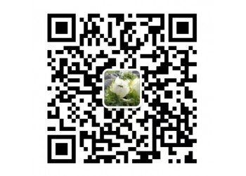 電影外太空的莫扎特投資價值如何?怎么投資?
