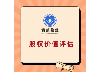 廣東省肇慶市股權轉讓評估企業(yè)凈資產(chǎn)評估企業(yè)價值評估