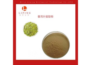 番瀉葉提取物番瀉葉皂甙A+B  3%20% 植物提取物供應