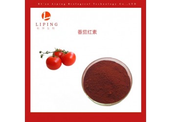 供應植物濃縮粉番茄紅素5% 10%
