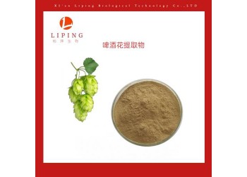 供應(yīng)植物提取物粉末 啤酒花提取物啤酒花黃酮5%10%