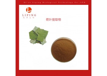 西安櫟萍生物供應(yīng)荷葉提取物荷葉堿1%98%