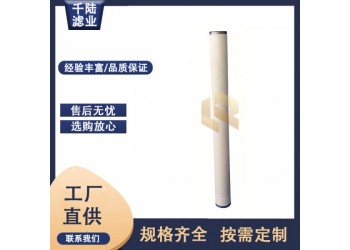 替代PECO派瑞燃氣聚結(jié)濾芯PZC312CME 千陸生產(chǎn)
