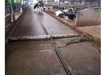 牛場刮糞機養牛場專用設備