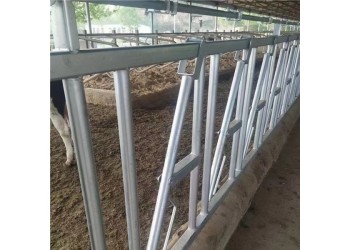 牛頸枷 牛舍專用設備  牛場專用牛頸枷