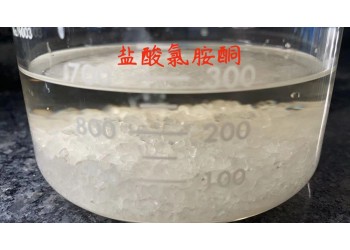 學(xué)術(shù)交流甲酸叔丁基酯去甲基K他命合成氯胺酮