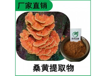 森冉生物 桑黃提取物 桑黃多糖 桑耳提取物