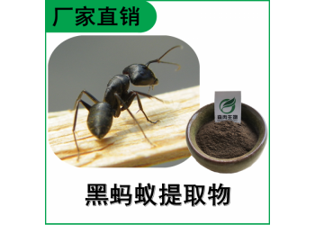 森冉生物 黑螞蟻提取物 黑螞蟻粉  比例提取原料粉